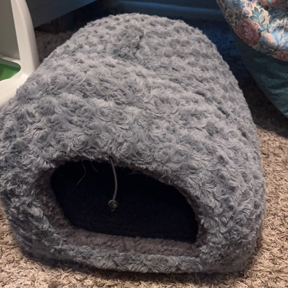 Cat bed